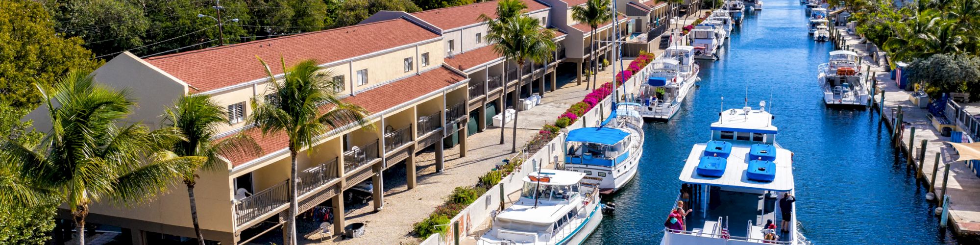 The image shows a canal lined with docks and boats, adjacent to a row of buildings with palm trees and kayaks.