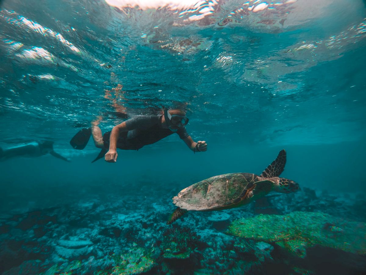 A person is snorkeling underwater alongside a sea turtle in a clear blue ocean with corals and marine life visible below.