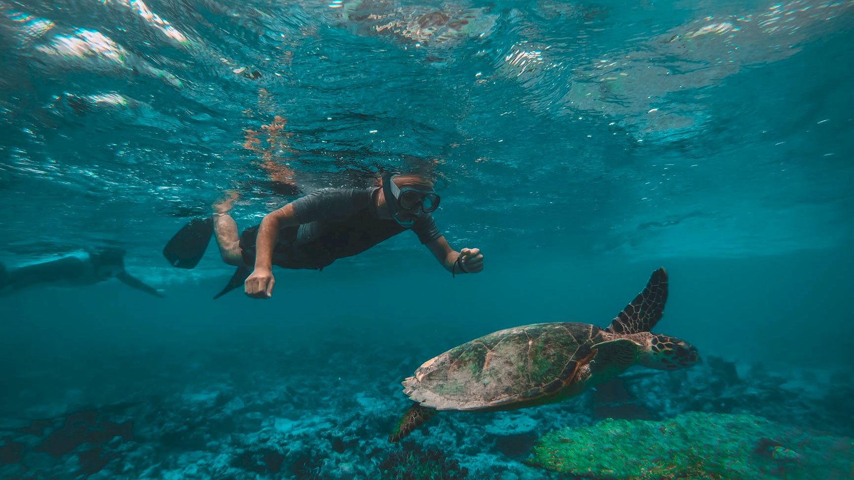 A person snorkeling underwater with a large sea turtle swimming near coral reefs, set against a backdrop of clear blue ocean waters.
