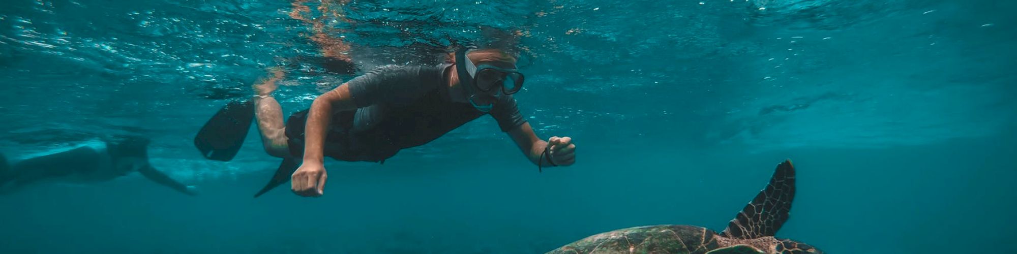 A person snorkeling underwater with a large sea turtle swimming near coral reefs, set against a backdrop of clear blue ocean waters.