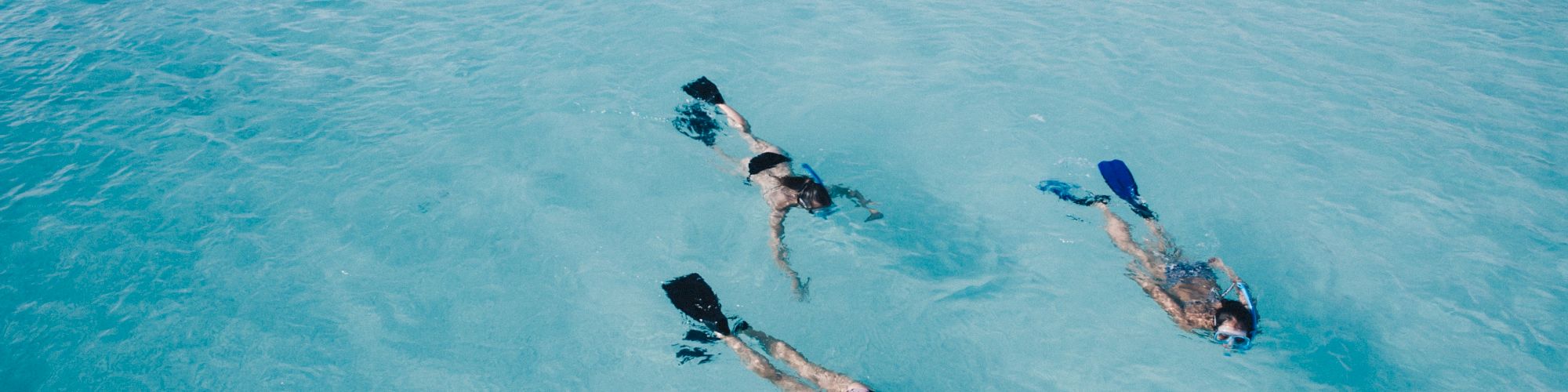 Three people are snorkeling in clear blue water, with their bodies partially submerged and fins visible, exploring the underwater scene.