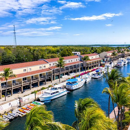 This image shows a marina with boats docked alongside a row of buildings. Palm trees and lush greenery surround the area, under a partly cloudy sky.