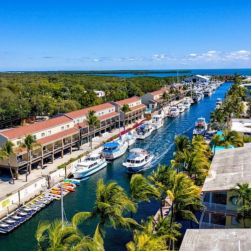 Aerial view of a canal with boats docked, flanked by buildings and lush greenery, under a clear blue sky.