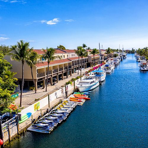 The image shows a canal lined with boats and palm trees, with houses and buildings on either side under a clear blue sky.