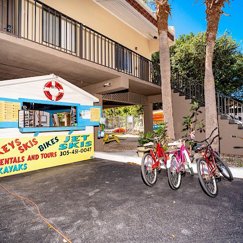 A rental shop offering skis, bikes, kayaks, and jet skis under a building with parked bicycles in front and surrounded by palm trees.