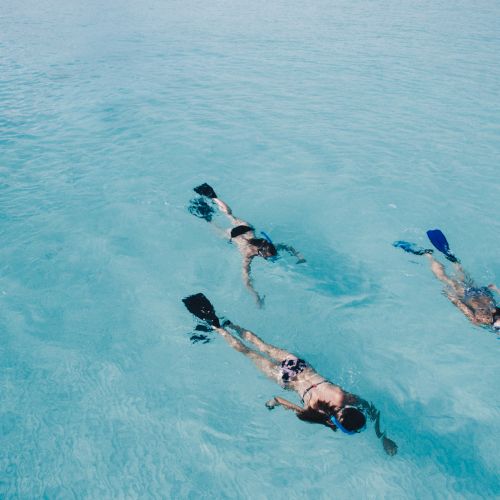 Three snorkelers swim in clear, turquoise water, wearing fins and snorkels, exploring the ocean surface.