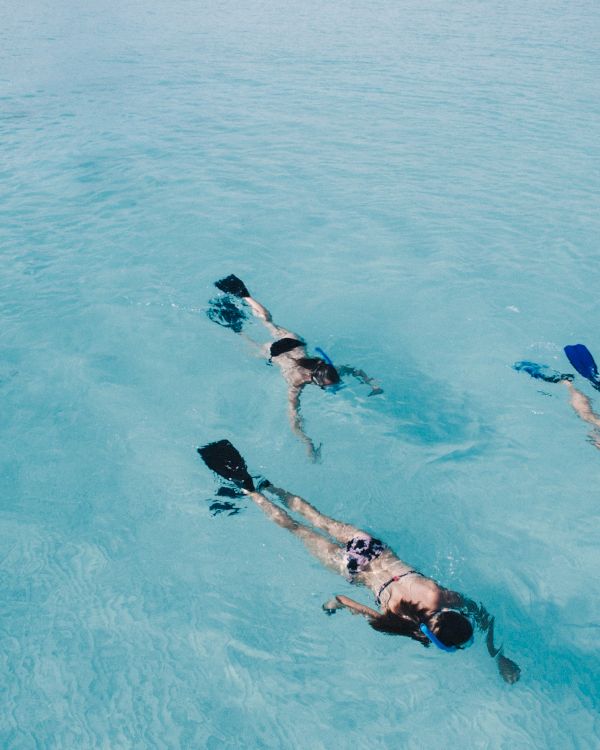 Three snorkelers swim in clear, turquoise water, wearing fins and snorkels, exploring the ocean surface.