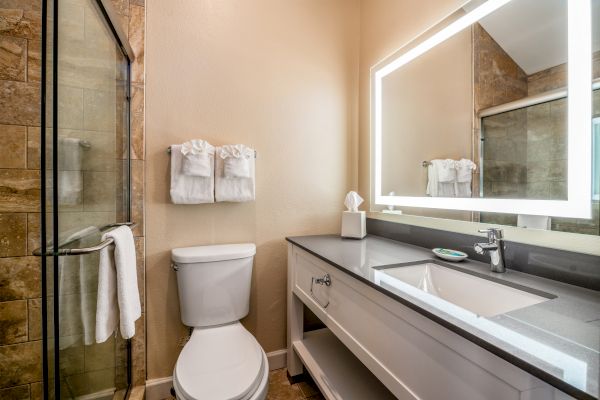 A modern bathroom with a glass shower, toilet, large mirror, and a sink on a gray countertop. Towels and tissues are neatly arranged.