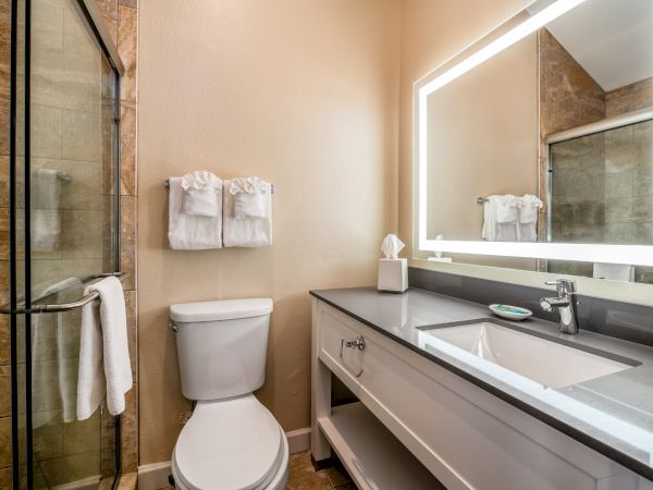 A modern bathroom with a glass shower, toilet, large mirror, and a sink on a gray countertop. Towels and tissues are neatly arranged.