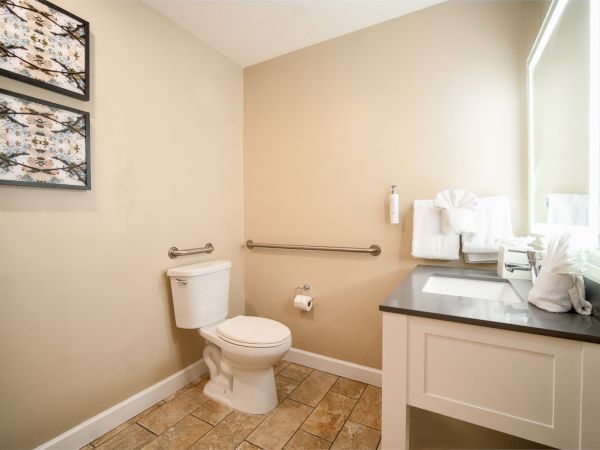 A small beige bathroom with a toilet, grab bars, a sink with a dark counter, towels, and two framed pictures on the wall, lit by natural light from a window.
