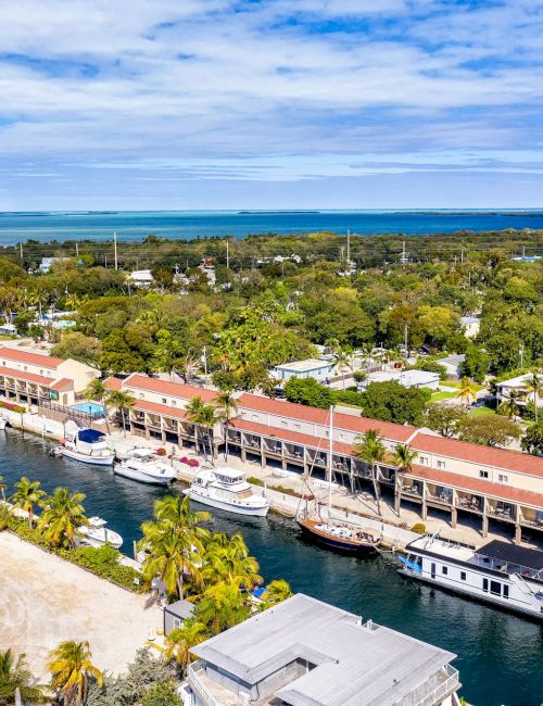 Aerial view of a tropical marina with docked boats, palm trees, and a calm blue ocean under a wide sky.