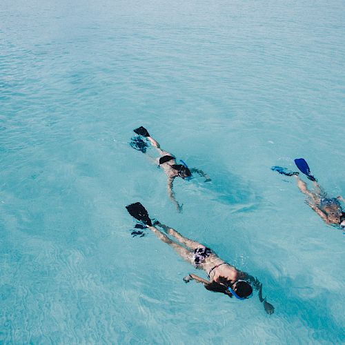 Three people snorkeling in clear blue water, wearing fins and masks, are swimming side by side in the ocean.